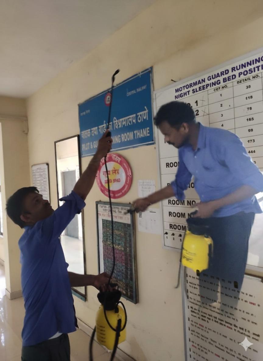 Termite Pest Control In Mumbai